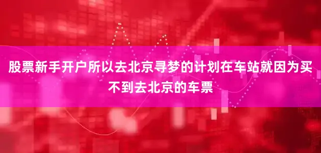 股票新手开户所以去北京寻梦的计划在车站就因为买不到去北京的车票