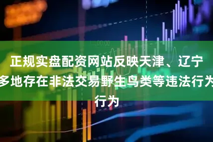 正规实盘配资网站反映天津、辽宁多地存在非法交易野生鸟类等违法行为