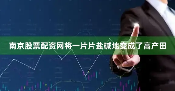 南京股票配资网将一片片盐碱地变成了高产田