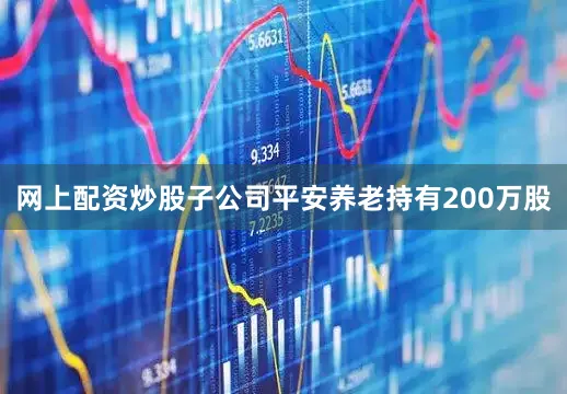 网上配资炒股子公司平安养老持有200万股