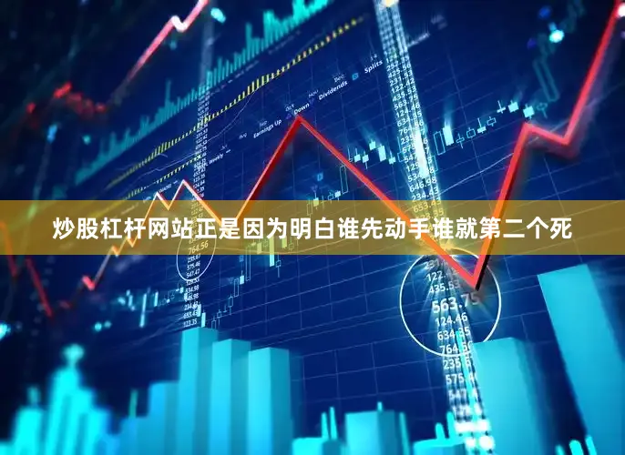 炒股杠杆网站正是因为明白谁先动手谁就第二个死